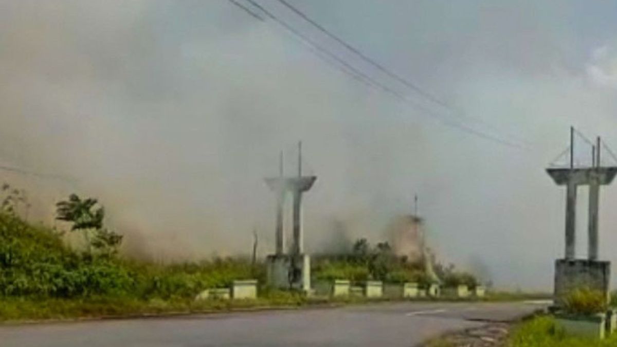 Une superficie de 20 hectares de terres sauvages dans le district de Natuna Kepri, incendiée