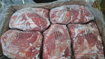 KPK dan Kejagung Diminta Selidiki Dugaan Kongkalikong Kuota Impor Daging Beku