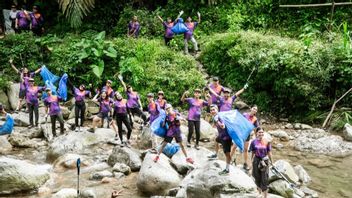 新趋势:踏板看起来很时尚,同时清洁地保持自然