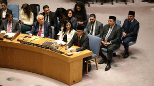 Menlu Sugiono Tegaskan DK PBB dan Dewan Perdamaian Harus Saling Memperkuat