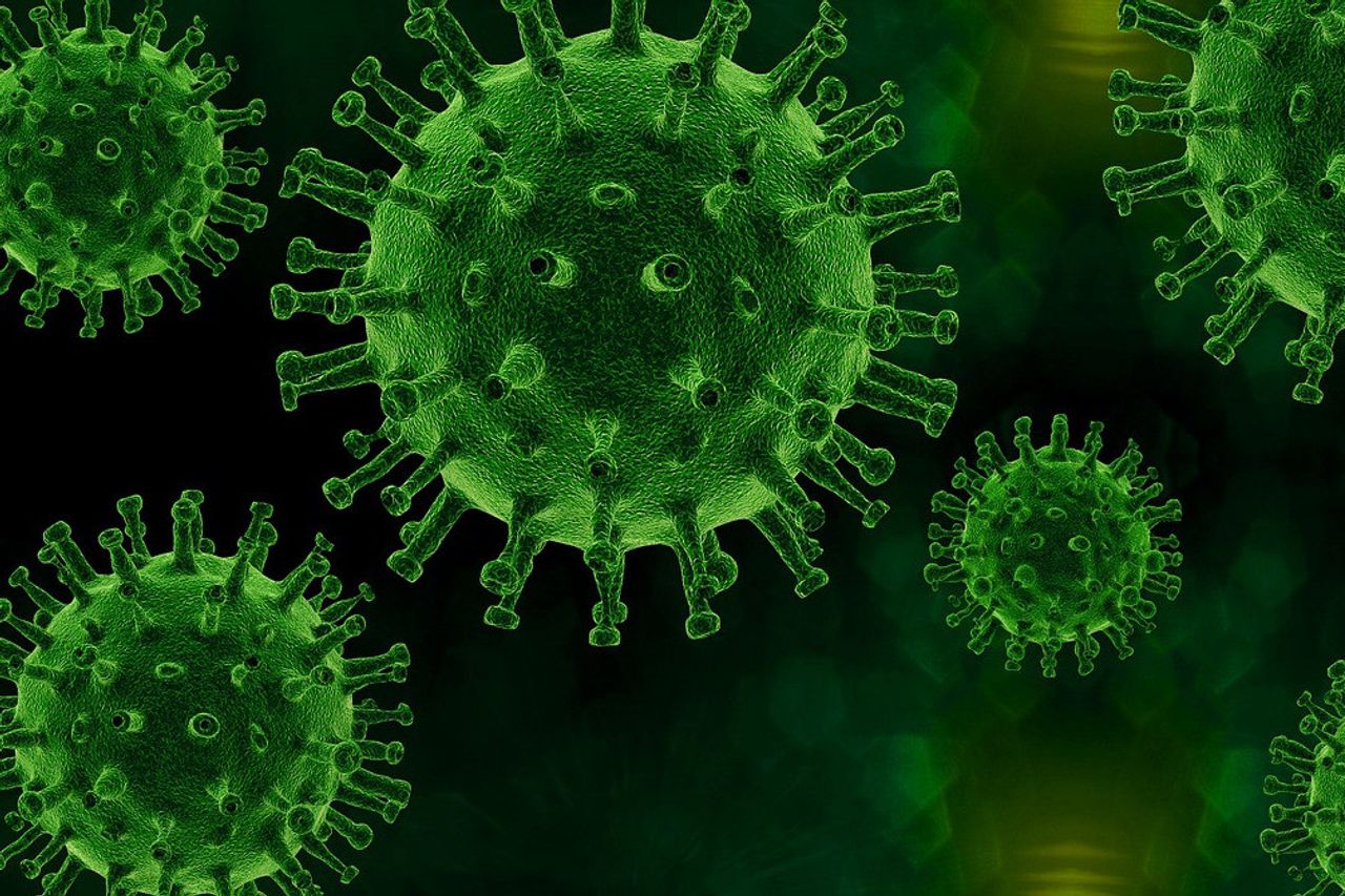 COVID-19 Patients In Babylon Increase By 27 To 878 People