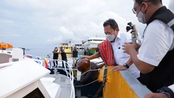 Namanya Kapal Balaenoptera yang Berarti Paus Biru, Tugasnya Jaga TNP Laut Sawu