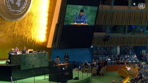 Presiden Prabowo: Indonesia Siap Akui Israel Jika Israel Akui Palestina