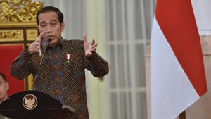 Panen Raya Tapi Harga Beras Tetap Naik, Jokowi: Mestinya Turun, Ini yang Kita Cari Tahu