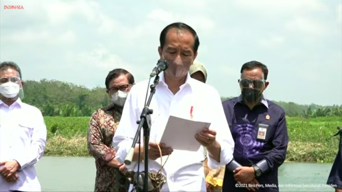 Jokowi Targetkan 34 Ribu Hektare Lahan Mangrove Direstorasi