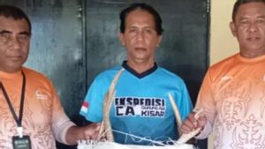 Terdeteksi X-Ray Pelabuhan Ambon, 2 Opsetan Tanduk Rusa Gagal Dikirim ke Jakarta