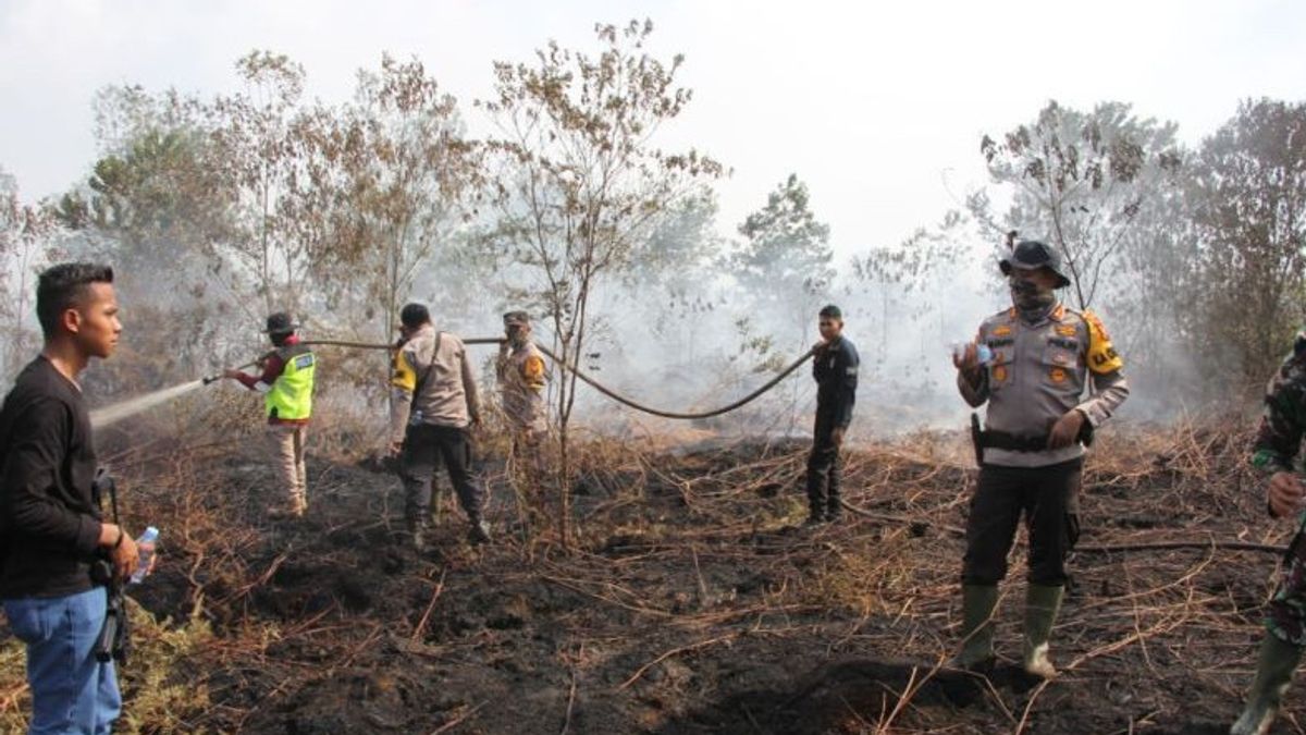 合同チーム、ドゥマイとベンカリスの10ヘクタールの焼失した土地を消火