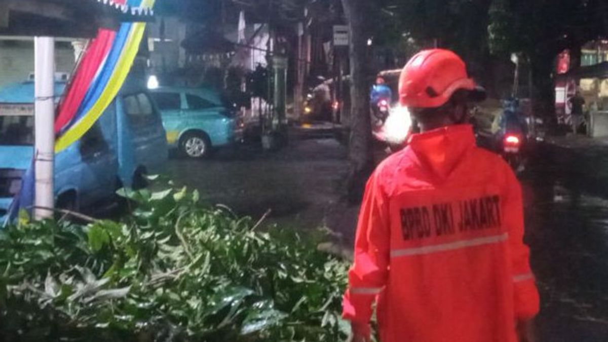 Hujan Disertai Angin Kencang, 2 Motor Tertimpa Pohon Tumbang di Cipayung Jaktim