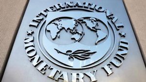 Berita Kripto: El Salvador Bikin IMF Ngamuk, Bitcoin Tidak Boleh Jadi Alat Pembayaran yang Sah