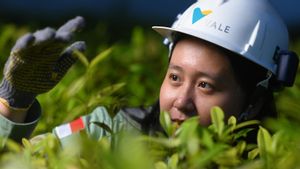 Gagal Penuhi Kuorum, Vale Indonesia (INCO) Batal Laksanakan RUPSLB
