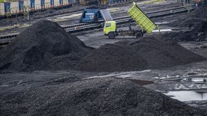 Coal Consumption In Indonesia And The Philippines Lampau Poland And China