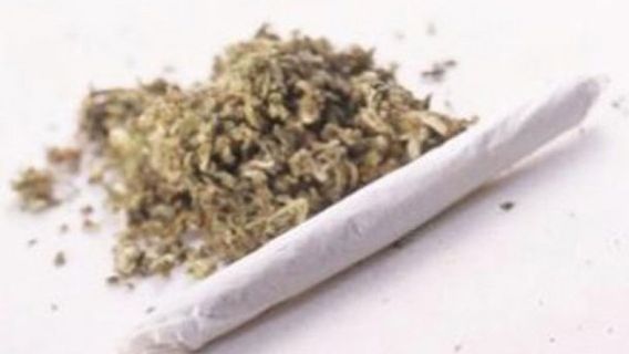 茂物在线针对青少年和儿童的巧克力混合大麻
