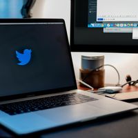 Mimin Twitter dan Karyawan Lain Kemungkinan Bakal Kerja Selamanya dari Rumah