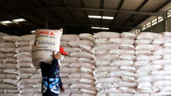 世界の尿素肥料価格は700ドルに達し、イラン戦争以来50%上昇