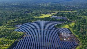 Medco Power's 25MWp Solar Power Plant Starts Operation In East Bali
