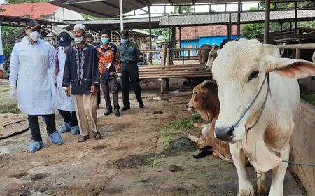 Tak Ingin Penyakit Mulut-Kaki Menyebar Luas, Pemkab Tangerang Semprot Disinfektan di Kandang Sapi Desa Ranca Iyuh