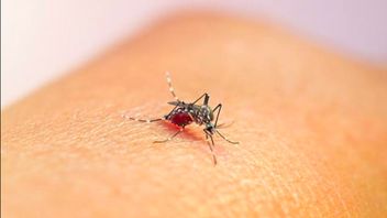 Upaya Eliminasi Malaria di Gorontalo, Fokus pada Kelompok Masyarakat Berisiko Tinggi