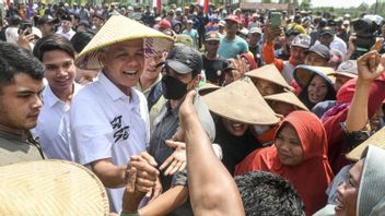 Hasto Claims Ganjar's Blusukan Disambut Anthusias Warga Is Different From Prabowo