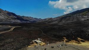 Wisata Gunung Bromo Dibuka Lagi pascakebakaran Hutan dan Lahan, Ingat Dilarang Bawa Flare!
