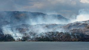 2 Orang Tewas Akibat Kebakaran Hutan di Catalonia