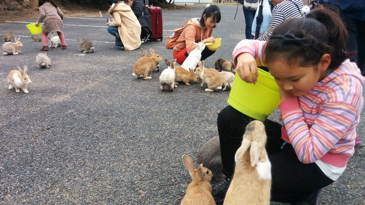 Japanese Man Sentenced To Torture And Kill Smalls On Okono Island