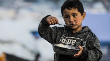 غزة: الوضع يتدهور، هناك حاجة إلى إجراءات عالمية