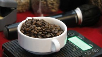 ケメンパレクラフは、トバ湖のローカルコーヒーの可能性を探ります
