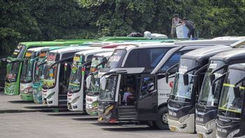 Hingga H-2, Terminal Kalideres Berangkatkan 10.349 Penumpang