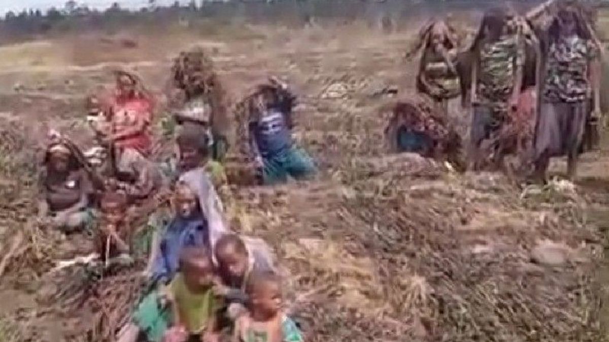 Lanny Jaya Papua Hit By Frost Disaster, BPBD Sends Mitigation Arrangement Team