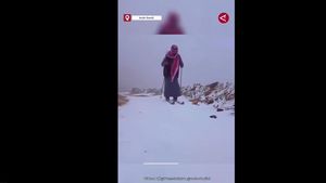 Tak Banyak yang Tahu, Inilah Wilayah Arab Saudi yang Diselimuti Salju