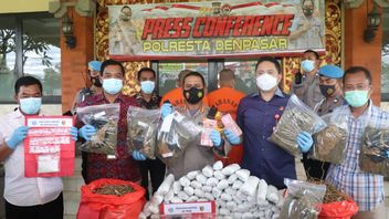 Trafiquant De Drogue Arrêté à Denpasar, Marijuana Vaut Rp1,5 Milliards Saisis