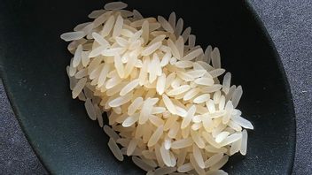 Rice Solutions S’empile, Bulog Encourage La Collaboration Avec Kemensos