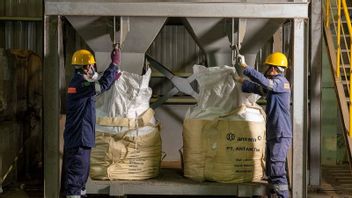 Antam Green Standard jadi Langkah ANTM Jalankan Penambangan Berkelanjutan