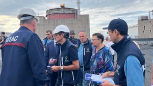 IAEA Sebut Belum Ada Indikasi Adanya Ranjau di PLTN Zaporizhzhia, Perlu Akses Lebih Luas