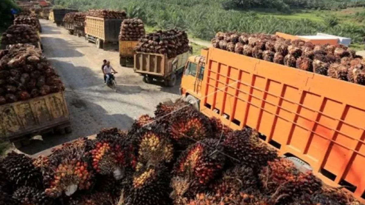 Kemenperin Catat Realisasi Investasi Sektor Agro Rp206,3 Triliun, Serap 9,37 Juta Tenaga Kerja