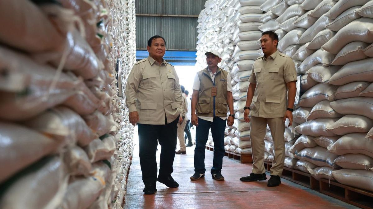 Gudang Bulog Penuh, Pemuda Tani Indonesia Apresiasi Rekor Tertinggi Cadangan Beras Pemerintah