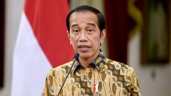 Indonesia Is Gifted By God To Have A Big Mine, President Jokowi: We Shouldn't Just Be Diggers