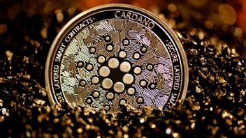 Cardano Claims To Be The Most Valuable Crypto Currency On The Market, Here's The Explanation