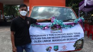 Pemkab Belitung Timur Ajak Masyarakat Budidaya Lebah Trigona