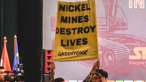 KLH Finds Violations Of Environmental Rules In Nickel Raja Ampat Mine