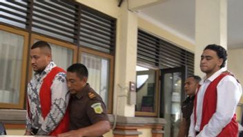 2 名澳大利亚人被判处 16 年监禁，杀害了巴厘岛的澳大利亚白人