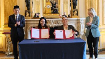 إندونيسيا - فرنسا تطوير بوروبودور، متحف، فيلم، حتى الأدب