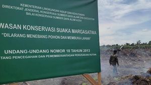Aktivis Lingkungan Desak Penegakan Hukum Terkait Kebun Sawit di Suaka Margasatwa Rawa Singkil