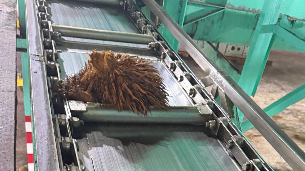 Palm Oil Industry Grows Positively, Plant Component Needs Increase