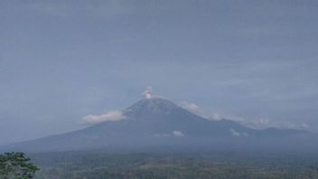 Gunung Semeru Alami 8 Kali Erupsi Diikuti Letusan hingga 700 Meter