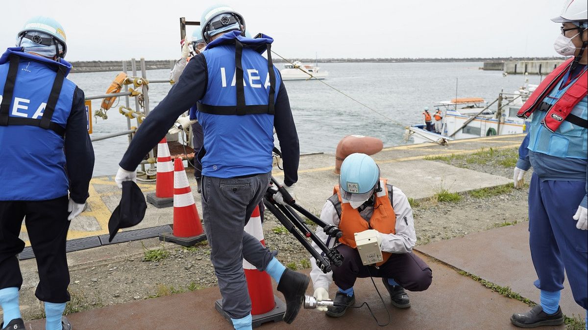 International Scientists Test Fish In Fukushima After Release Of Radioactive Wastewater Into The Sea