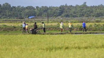 Le président Prabowo passe en revue le parcours alimentaire de contournement à Merauke