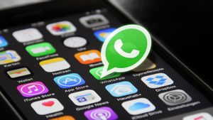 WhatsApp <i>Update</i> Status Buat Tunjukkan Komitmen Jaga Privasi Penggunanya