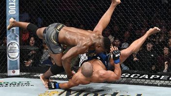 Penasaran dengan Gaji Petarung UFC? Meski Francis Ngannou Menang tapi Dibayar Minim