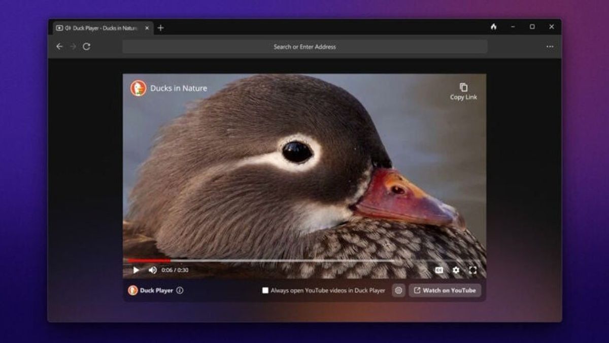 DuckDuckGo Finally Brings Web Browser For Windows, Here's The Feature!